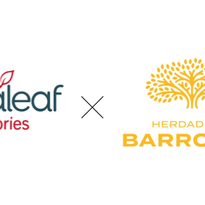 Curaleaf Laboratories and Herdade das Barrocas logos