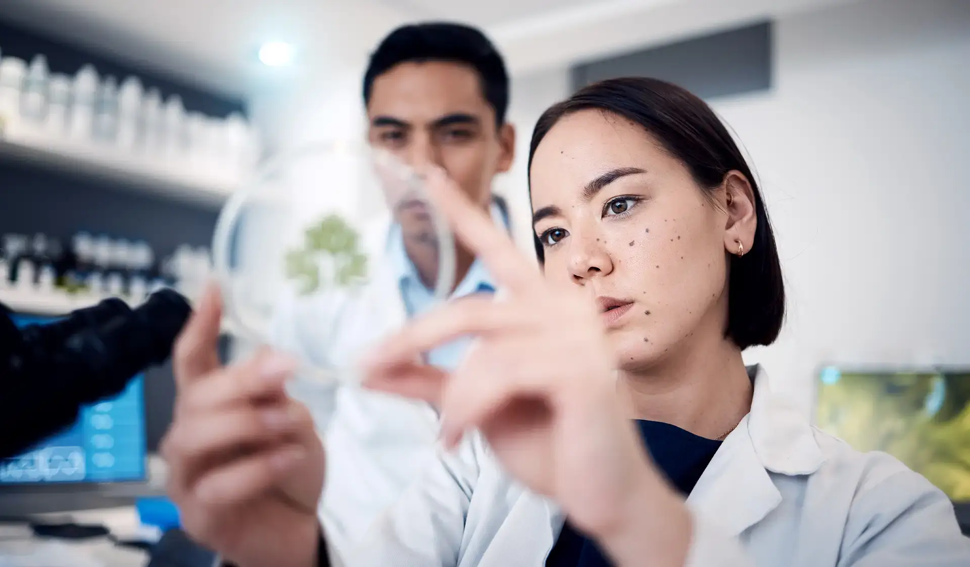 Two scientists examining a cannabis sample in a laboratory
